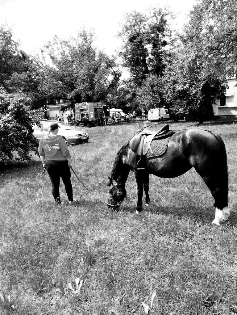 IMG 20230724 123445 768x1020