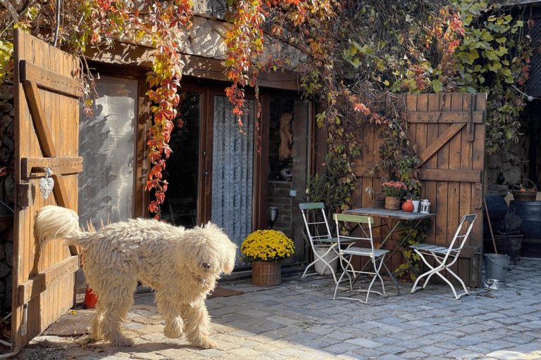 barka bejarat 1 768x512