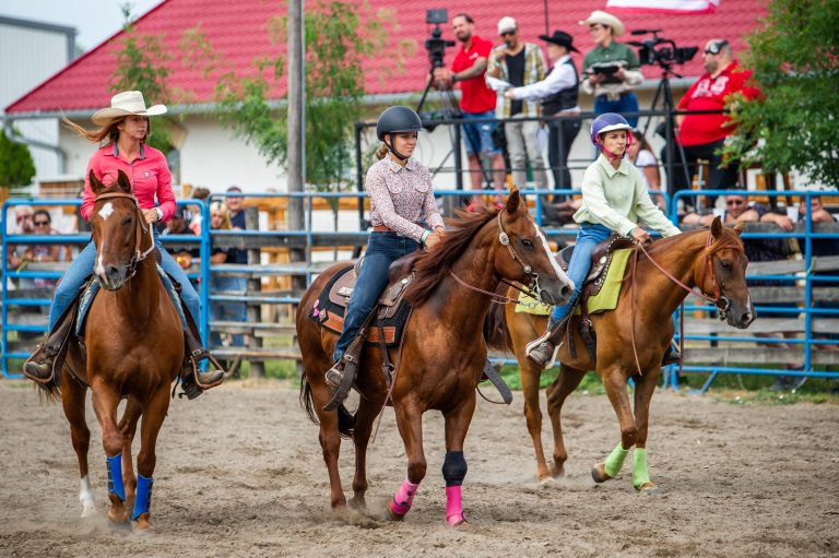 gunduz attila 4322 768x511