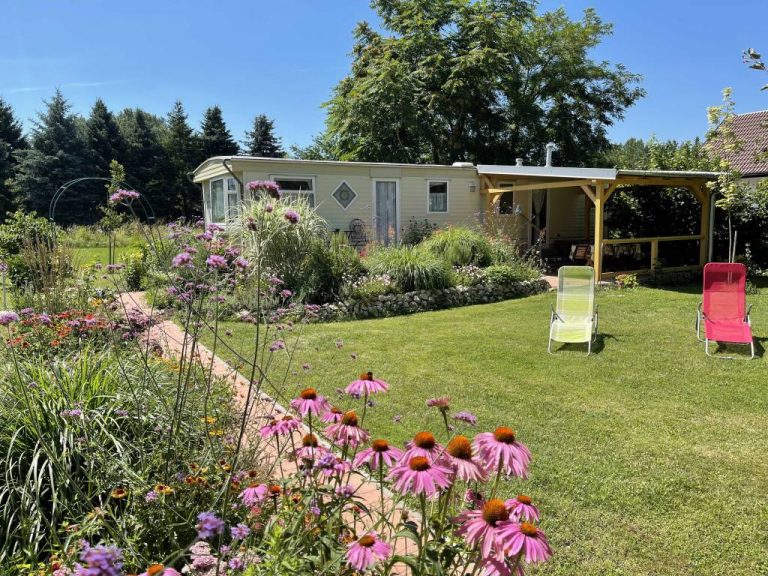 img 0901 optimized 1 768x576