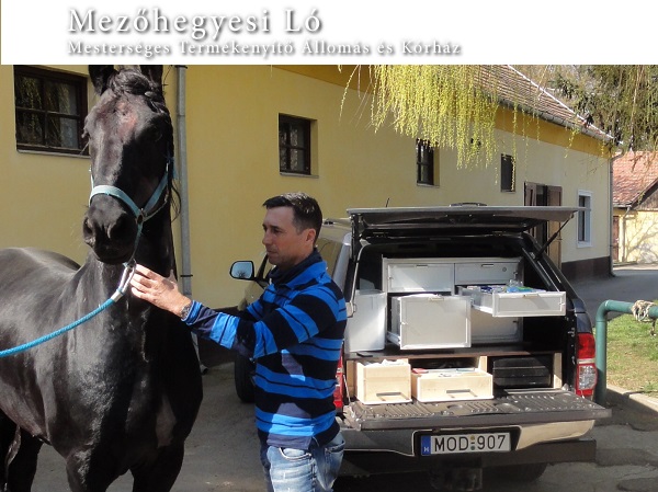 mezohegyeslokorhaz