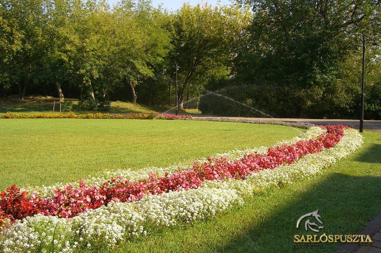 sarlospuszta 010EDF4FA22 AC09 C7C1 260C A71FBE96669A 768x510