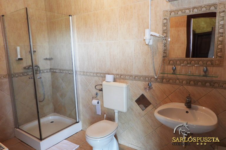 sarlospuszta 144DC8176B9 7092 3B6D 7D9E A09C3E41731B 768x510