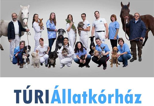 turi munkatarsak