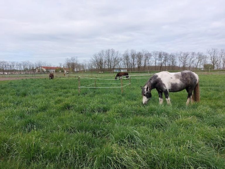 449447738 8510662135620215 2351451471611257662 n 768x576