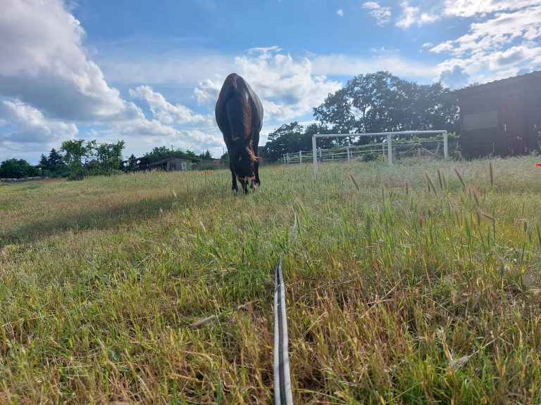 449485379 8510665855619843 8373141876975057497 n 768x576