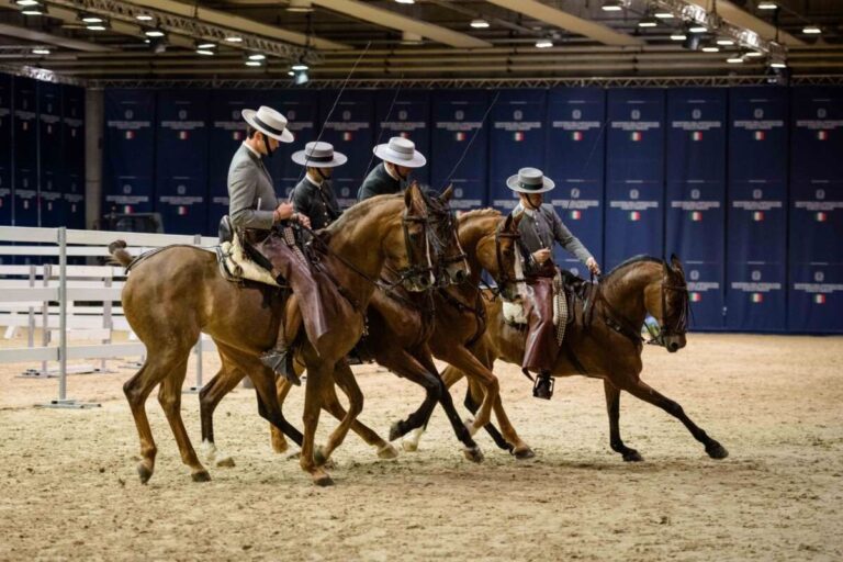 Fieracavalli spanyol lovak bemutato foto 768x512