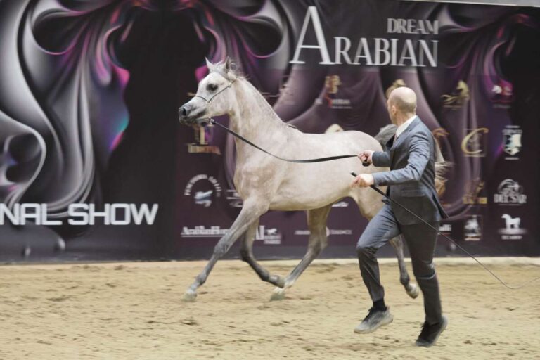 Fieracavalli2023 EnneviFoto VeronafierePT010715 768x512