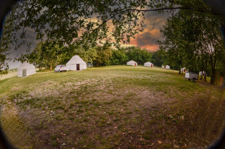 347554562 770460188417649 283580886191734933 n 768x509