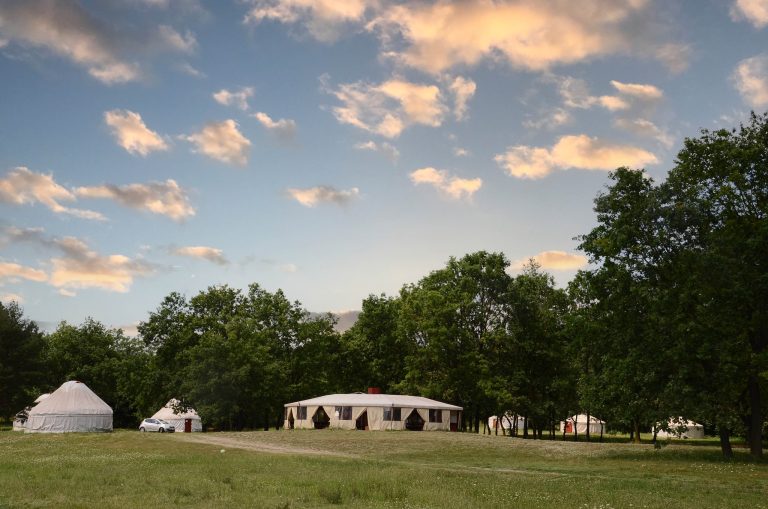 348634124 770459645084370 1197316967450394904 n 1 768x509