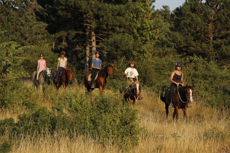 MG 3321kicsi 768x512