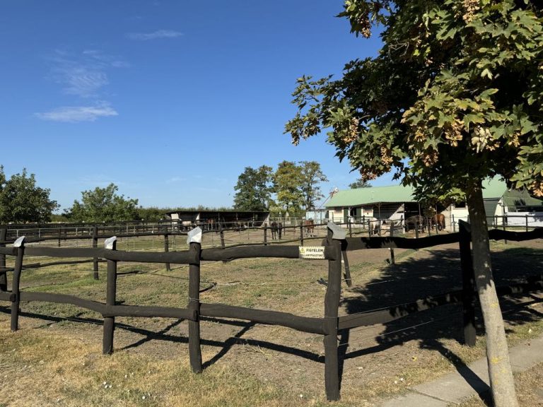 att.VpMR cVE8hbWSB8LS8vsqyfOwoy9kU75eJHMyUW4Brk 768x576