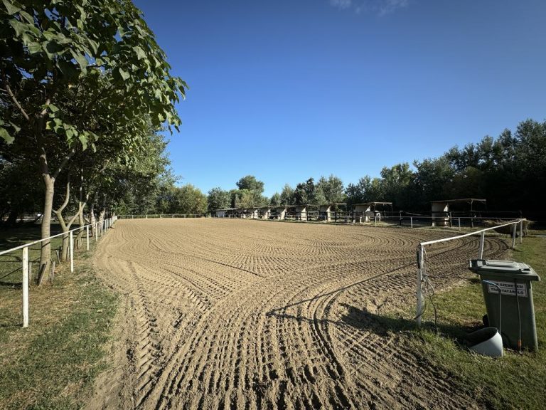 att.vQqr0 yM PA7bl0l6a9oezhctRwnO2775TSlqife9i0 1 768x576