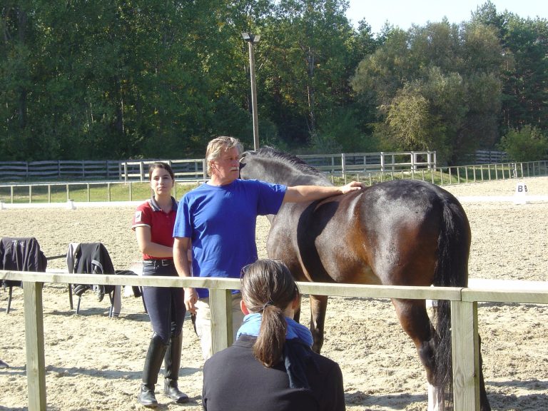 335023 270147906350034 1872589540 o 768x576