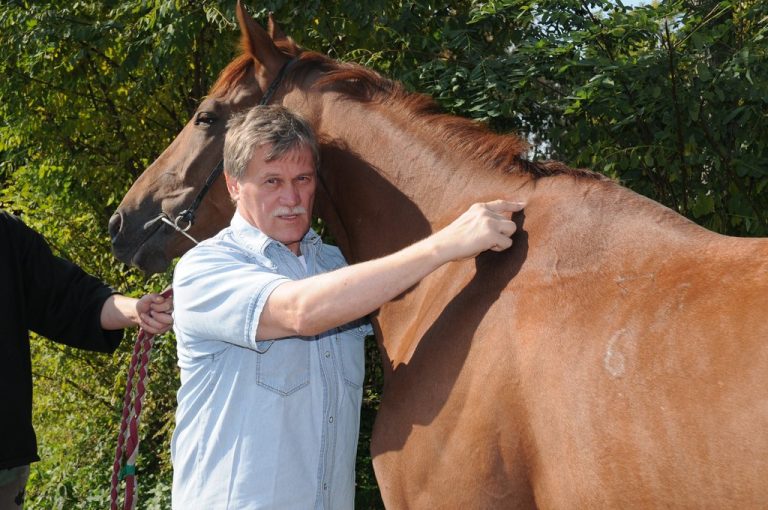 57233 100344106701028 7771869 o 768x510