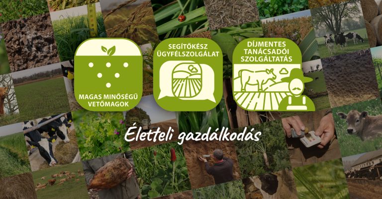 talajjavitas 768x401