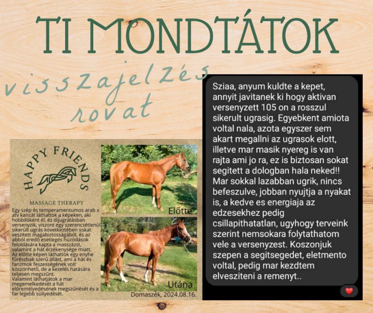 65263e70618a2049c4dfe05d 768x644