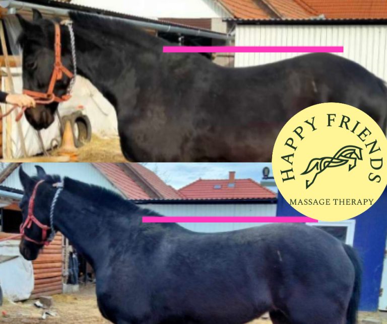 65c8778f68d2b1ee590ca0be 768x644