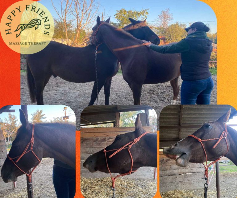 6724856cf485fa372dfbbdc9 768x644