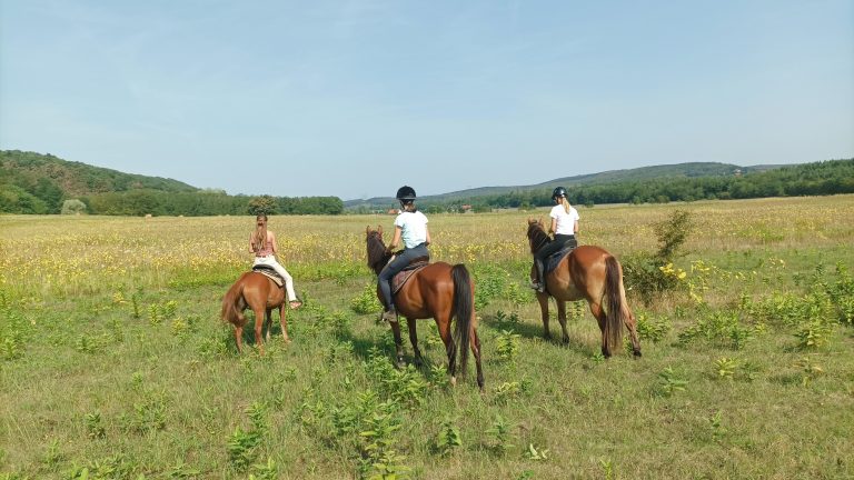 Messenger creation 0D7898D4 419E 4599 AAFB 32AD744B1095 768x432