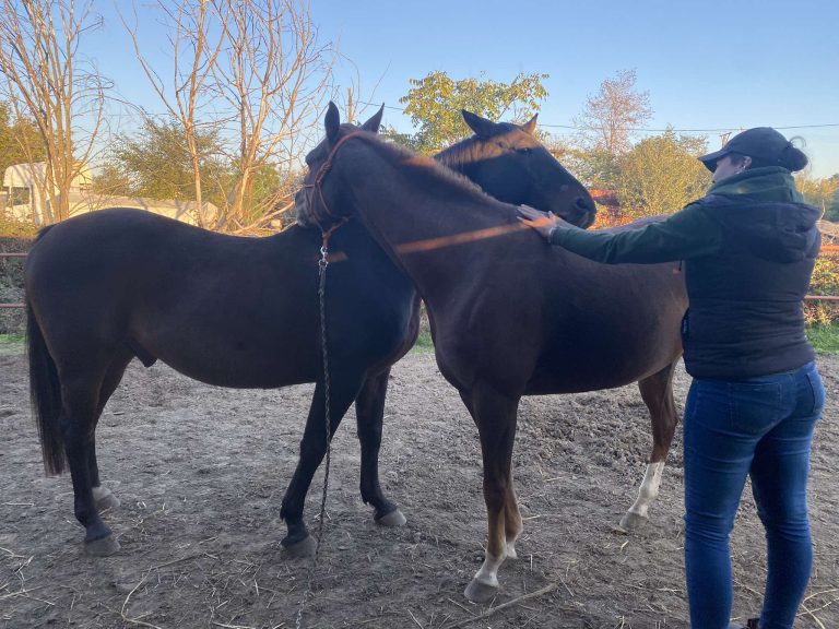 received 1678771236031908 768x576