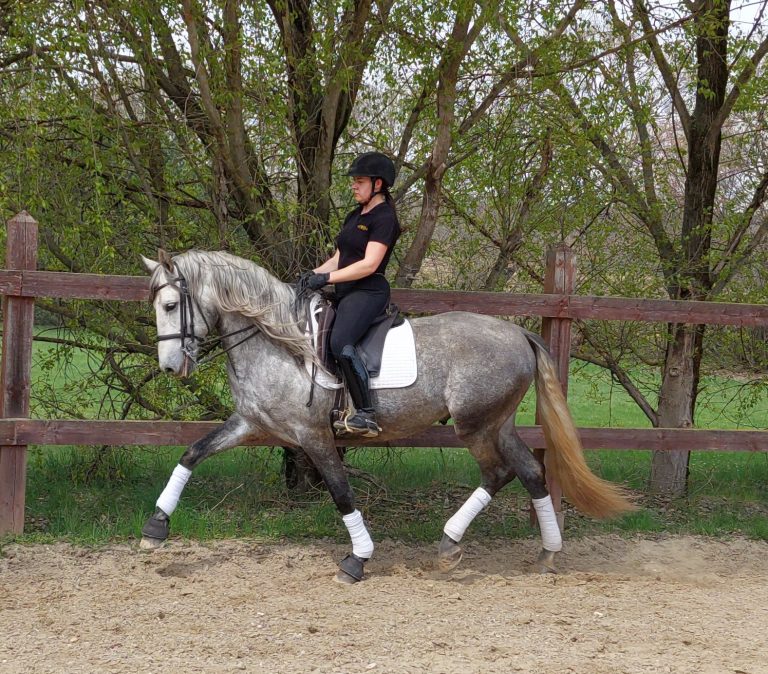 20230411 114708 768x674