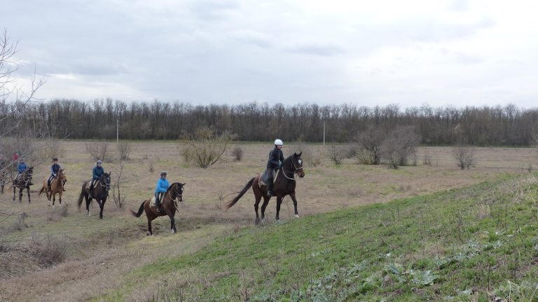 335412628 1360994594724270 4540163216989196138 n 768x432