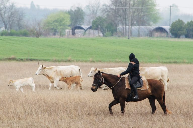 464218376 1106769854786679 4611195495759949223 n 768x510