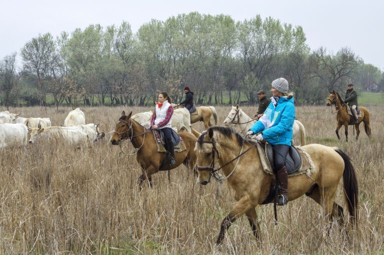 464376220 1106764338120564 3685047221722247303 n 768x511