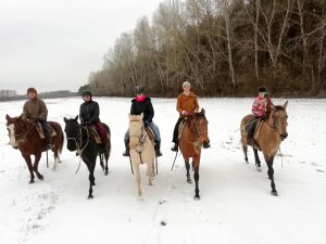 50127074 1977244455912744 3674292969235546112 n 1 300x225