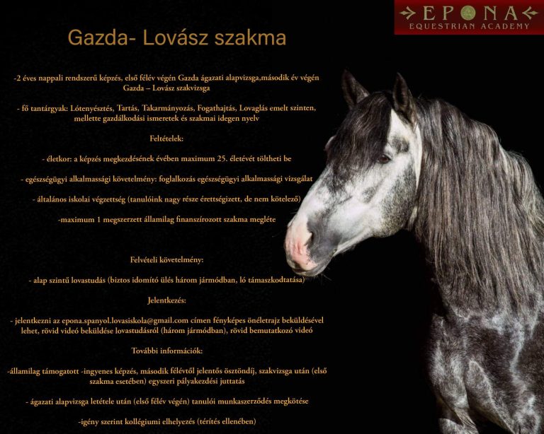 Epona Gazda Lovasz 768x614