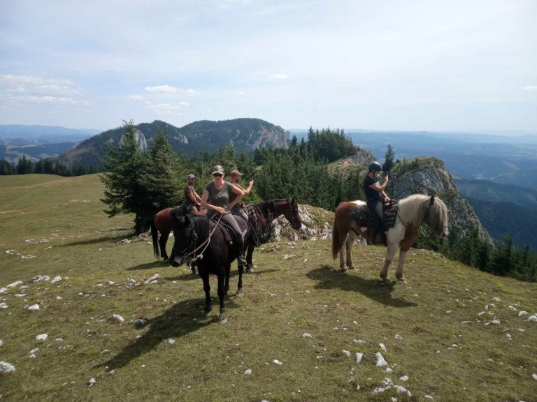 Messenger creation 0083530B 8FAD 450C 8BAE 267CE534866B 768x576