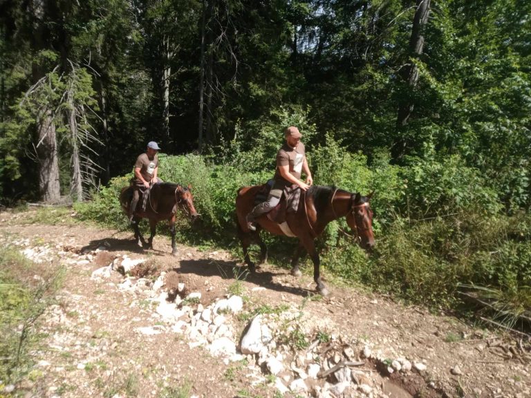 Messenger creation 0BBF9A1B C978 472E 825F 57714EC0B1B7 768x576