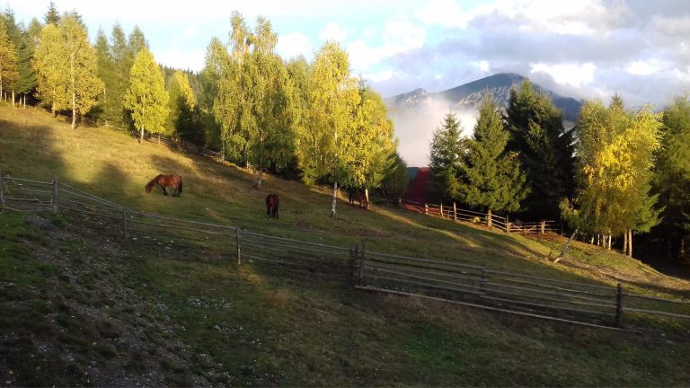 Messenger creation 1015842015504093 768x432