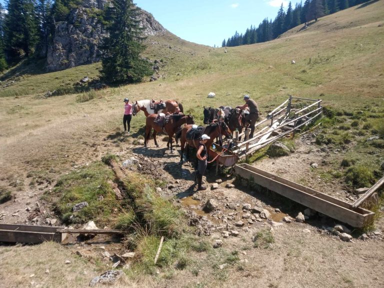 Messenger creation 69694F33 1B45 494E B06B 200B330FBD83 768x576