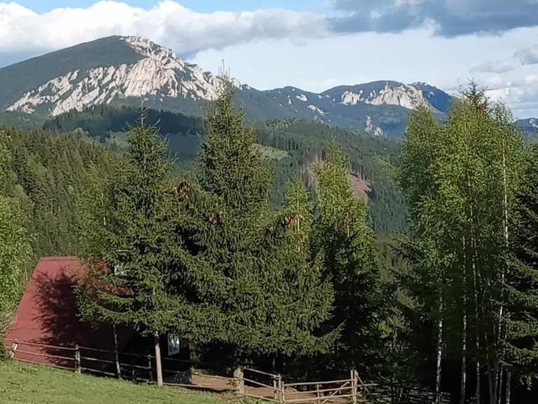 Messenger creation 7FC28CA6 9BBC 4292 9D7B 8959AACA054B 768x576