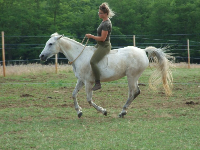 Messenger creation 7d414b07 61b4 4d19 b56a 96a99aa7eec3 768x576