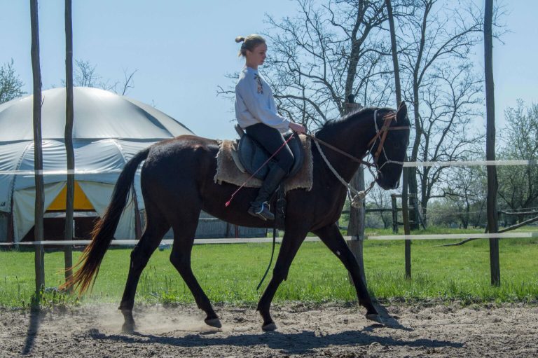 b m 15 1 1536x1021 1 768x511