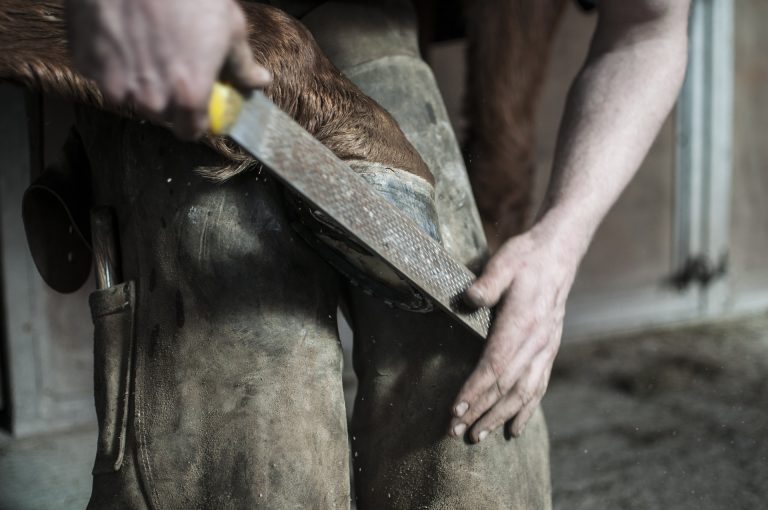 farrier 1246258 1920 768x510