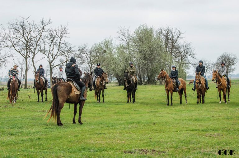 kbyteosak 4 1 768x510