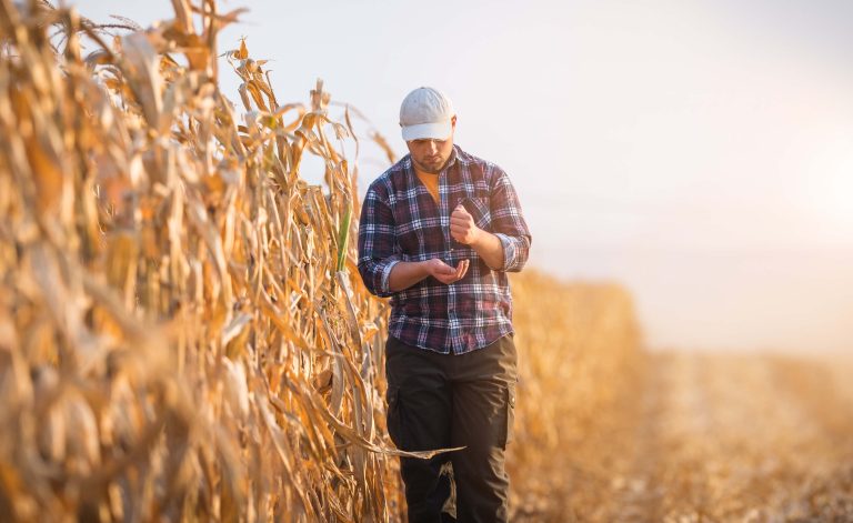 shutterstock 715541794 2 768x471