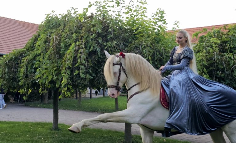 03494a88 11fe 4f14 bd12 137fe55d16e9 768x466