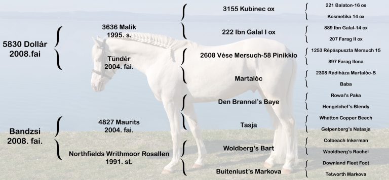 143526030 3704072622962405 7303913923766527902 n 768x356