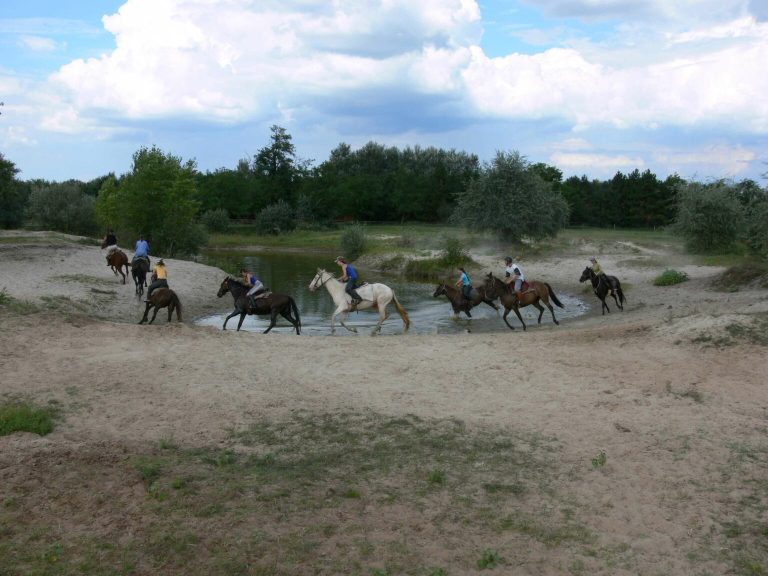 2 1536x1152 1 768x576