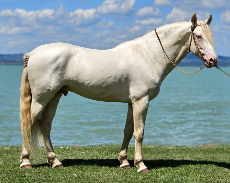 20240530 132235 1 768x611