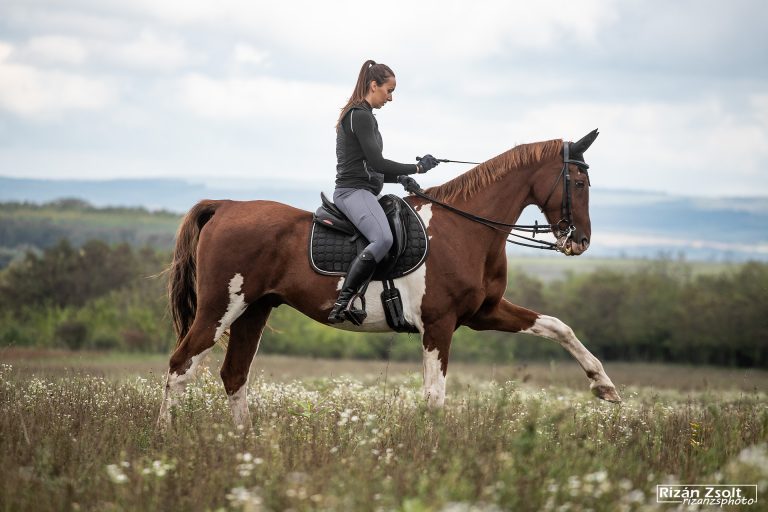 20241006 VINCZE LIZI 119 768x512