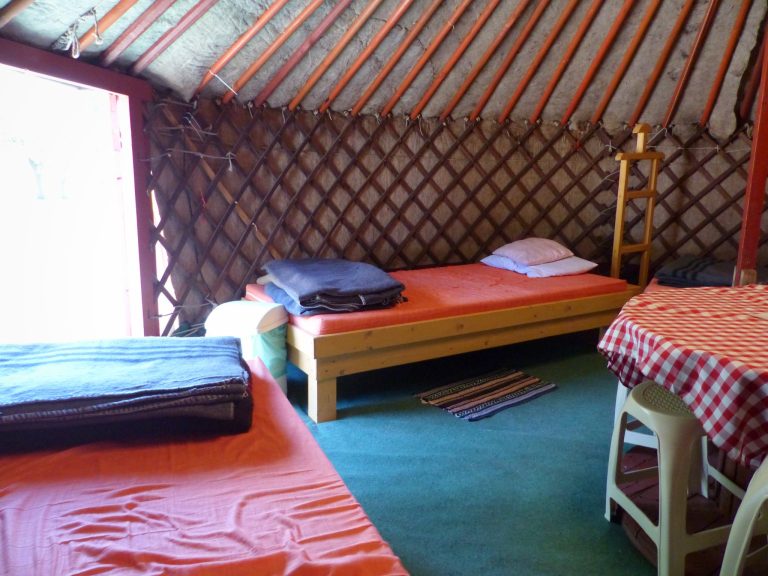 297137686 543576304230373 7223772765298394243 n 768x576