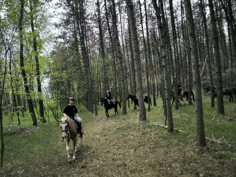 434664652 958037876326545 8062496562076943013 n 768x576