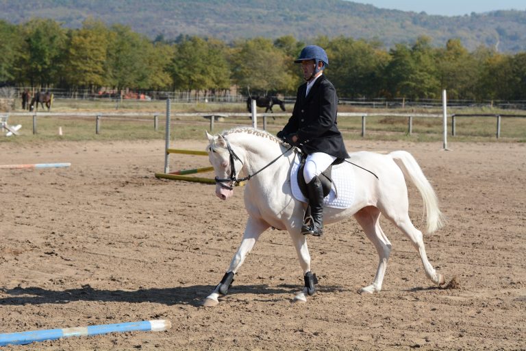 438793651 1612252852941250 6623289182206936332 n 768x512