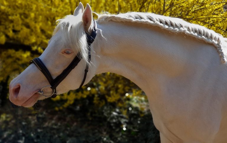 440440206 1612252899607912 6729657555989033595 n 768x484